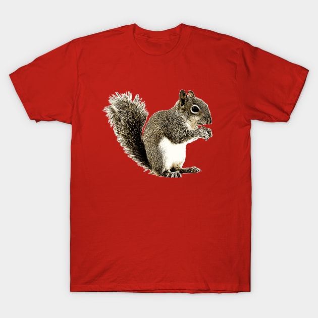 SQUIRREL T-Shirt by Show OFF Your T-shirts!™